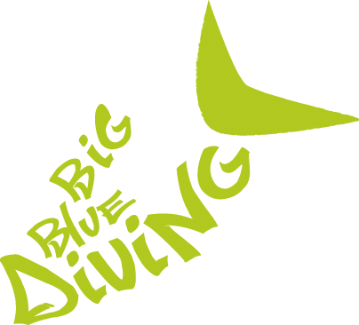 logo BIG BLUE DIVING